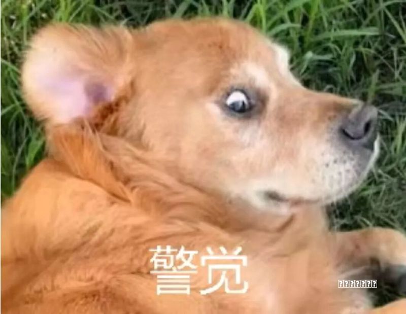 攻略地球系统数据平台体系发展建设方案出台到2035年地球系统数据应用场景深度融入数字中国建设-中国气象局门户网站